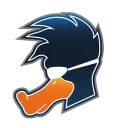 Ducks Racing League
