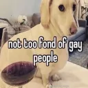 Gay People Central