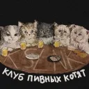коробка болтовни
