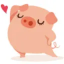 ChoCho's Little Piglets <3