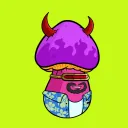 Funguy Mushrooms