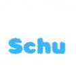 Team Schu