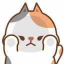 Cat • Team