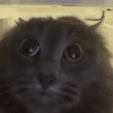 ShadowDemonHD