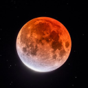 Lunar Caf&amp;eacute; Server Icon