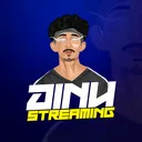 DINU Streaming 🎮
