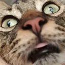 𝙻𝚊 DICTADURA 𝚍𝚎 𝚖𝚊𝚝𝚎𝚋... Discord Server Icon