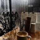 K9 Cafe Discord server icon