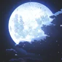 Nocturnal Hideout