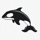 killer whale kullanıcısının sunucusu