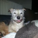 Verwirrten Treff