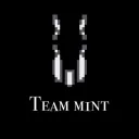 Team m1nt