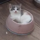 (TIKTOK)thewarden.123's server