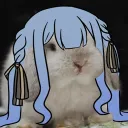 祥子の箱庭/Sakiko’s haconiwa