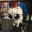 Guardar pene Discord Server Icon