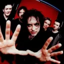 The Nocturnal Realm's icon