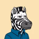 Average Zebras