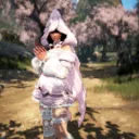Dannidrone's server