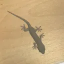 みんなとゲームする部屋