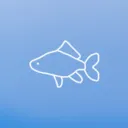 fishbowl