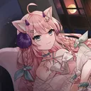 猫猫的房间