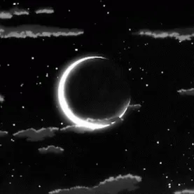 Moon — мониторинг Discord сервера, статистика и рейтинг