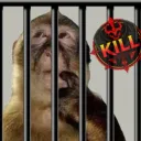 Prison B