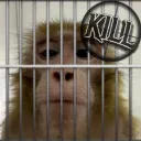 Prison B Discord Server Icon