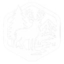 pre release Discord Server Icon