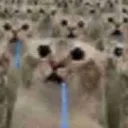 猫黒大教堂