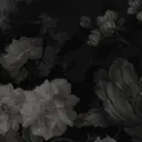 ❥ 𝘬𝘩𝘢𝘭𝘪'𝘴 𝘨𝘢𝘳𝘥𝘦𝘯