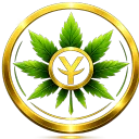 Yerbas