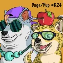 DOGE SOL PUPPY