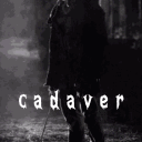 ⠂ ⠂✦ /cadaver ✦ ⠂ ⠂'s icon