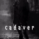 ⠂ ⠂✦ /cadaver ✦ ⠂ ⠂