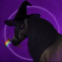 Witchcraft's Dressage Open Server