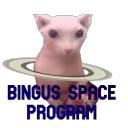 Bingus Space Program