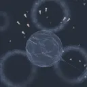 soul interface