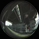 やば動2 兼ミチコ