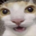 Goober Central Discord Server Icon
