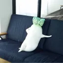 だいこん農園