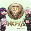 Discovery icon for Nov𐓘 Esport Entertainment Discord server