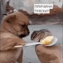 Причина Тряски
