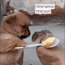 Причина Тряски