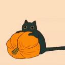 Nats Server Discord Server Icon