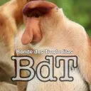 Bonde dos Trogloditas🦧 discord icon