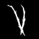 「 Club Voodoo 」