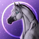 𝐒𝐡𝐚𝐝𝐲 𝐖𝐢𝐭𝐜𝐡𝐞𝐬