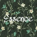 𝑬𝒔𝒔𝒆𝒏𝒄𝒆 discord icon