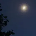 Moonlight ?! 🌙